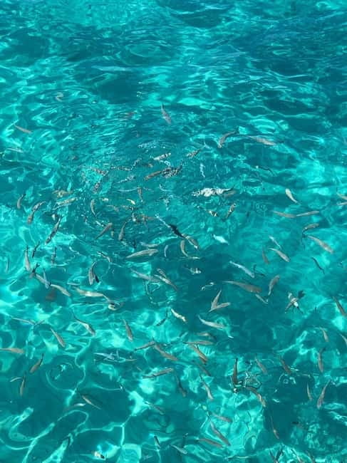 Kusadasi: Aegean Sea Boat Tour with Lunch - A Gulet-Style Day at Sea in Kusadasi