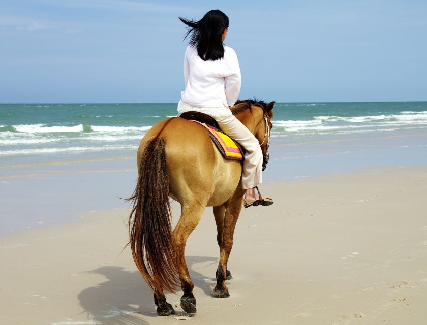Kusadasi: Horse Riding Beach and Forest w/Transfer - Key Things to Know Before You Go