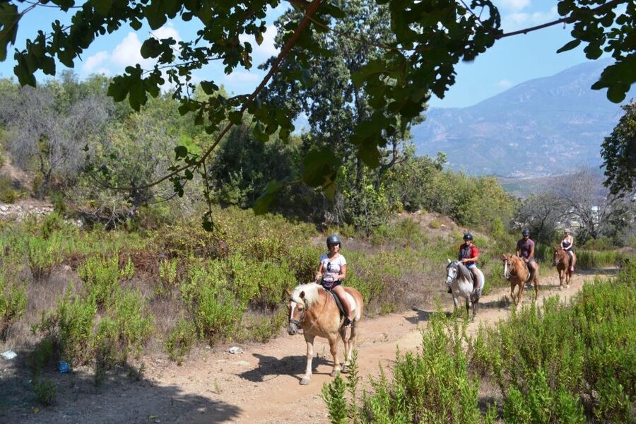 Kusadasi: Horse Riding Beach and Forest w/Transfer - From Hotel Pickup to Pine-Tree Trails in Kusadasi