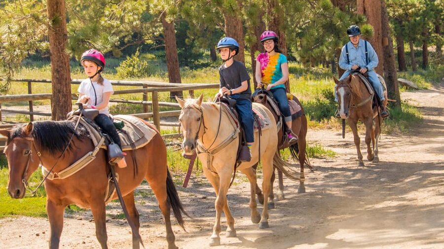 Kusadasi: Horse Riding Beach and Forest w/Transfer - Pine Forests and Orange Groves: What You’ll See