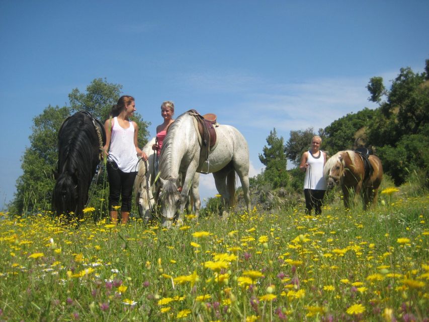 Kusadasi: Horse Riding Beach and Forest w/Transfer - Should You Book Kusadasi Horse Riding Beach and Forest with Transfer?
