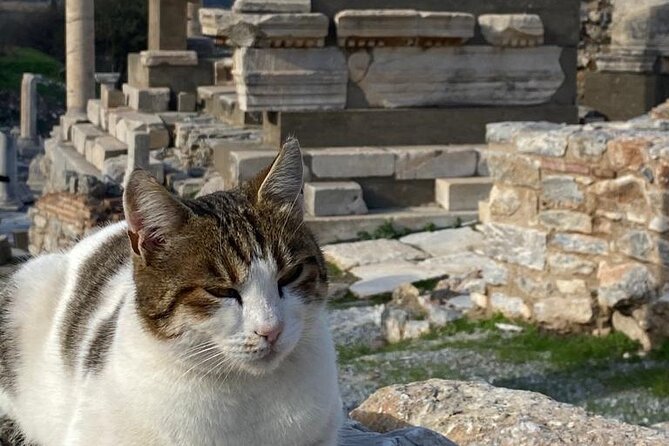 LESS Walking Tour : Private Ephesus, House of Virgin Mary, Temple - The House of the Virgin Mary: a calm mountain pilgrimage stop