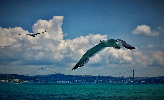 Luxury Private and Guided Istanbul Food Tour with a local guide - Luxury Istanbul Food Without the Usual Guesswork