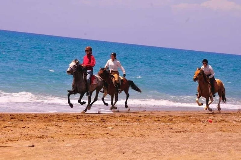 Manavgat Side: Horse Riding on the Beach and in the Forest - Side to Manavgat Horse Riding: Pine Trails, Then Beach Running