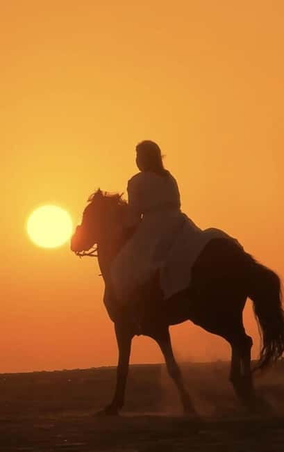 Manavgat Side: Horse Riding on the Beach and in the Forest - Arriving at the trail riding base: What happens before you mount