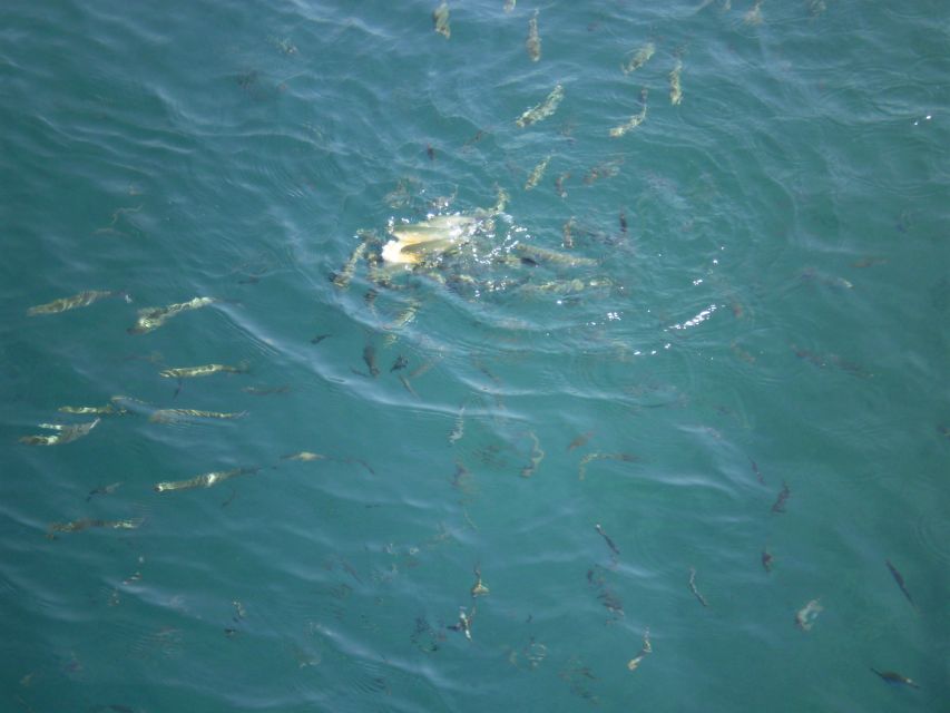 Marmaris Full-Day Boat Trip with Unlimited Soft Drinks+Lunch - Lunch onboard plus unlimited soft drinks, the value math