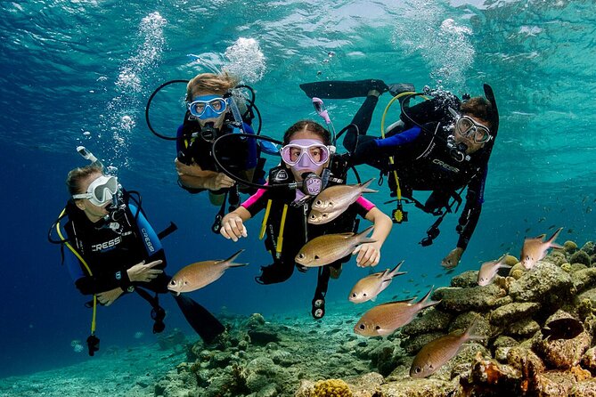 Marmaris Full Day Scuba Diving Two Dives With Lunch Hotel pickup - Key highlights worth planning for
