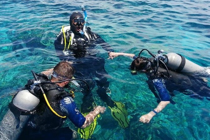 Marmaris Full Day Scuba Diving Two Dives With Lunch Hotel pickup - From your hotel to the harbor in one easy move