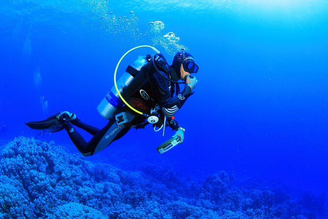 Marmaris Full Day Scuba Diving Two Dives With Lunch Hotel pickup - What you get for $40, and what costs extra