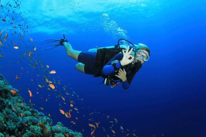 Marmaris Full Day Scuba Diving Two Dives With Lunch Hotel pickup - Group size and timing: what to expect on a full day boat