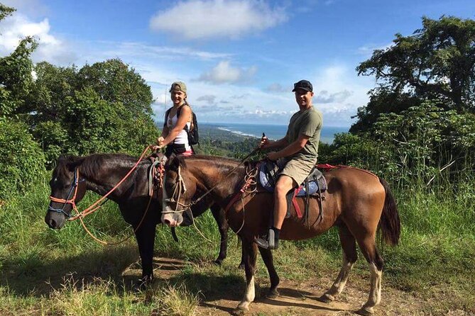 Marmaris Half Day Horse Riding Through the Rivers and Mountains - Horses and Guides: Why Beginners Can Relax