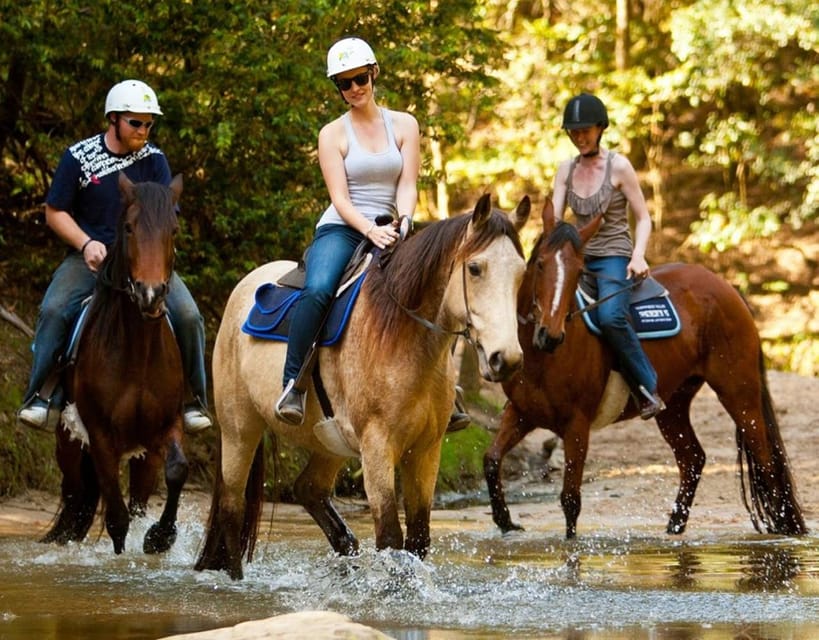 Marmaris: Horse Riding Experience with Hotel Transfers - Entering the Forest and Riverbed Route: The Actual Safari Ride