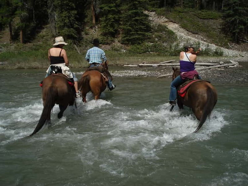 Marmaris: Horse Riding & Safari with Hotel Transfer - Quick Take: What Makes This Horse Safari Work So Well