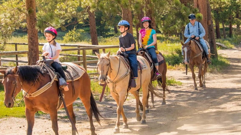 Marmaris: Horse Riding & Safari with Hotel Transfer - Why This Marmaris Horse Safari Feels Different
