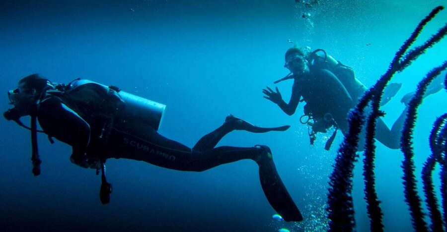 Marmaris: Scuba Diving Experience with 2 Dives and Lunch - Marmaris harbor day, hotel pickup, and the real timing