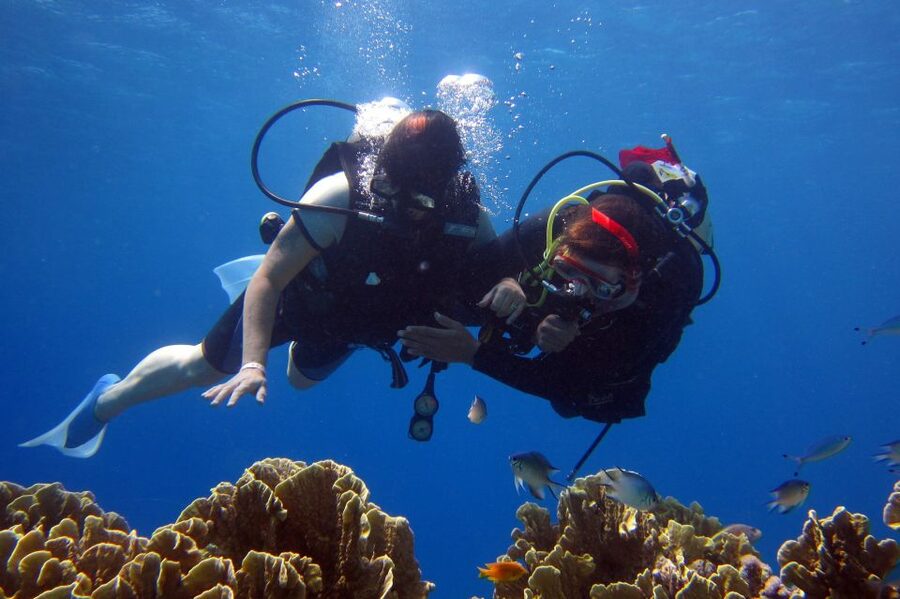 Marmaris: Scuba Diving Experience with 2 Dives and Lunch - Session one in shallow water: about 10 minutes to get your bearings