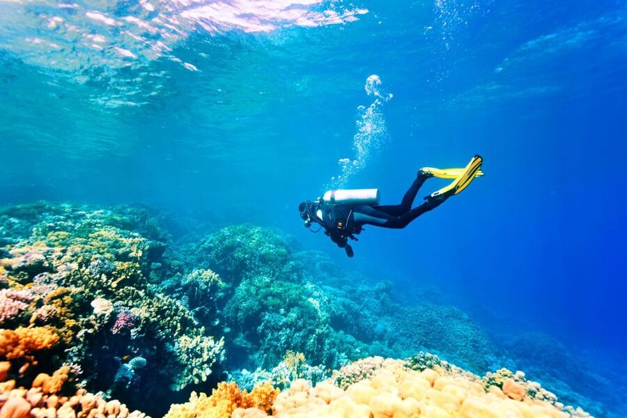 Marmaris: Scuba Diving Experience with 2 Dives and Lunch - Lunch on the water: light food that keeps you steady