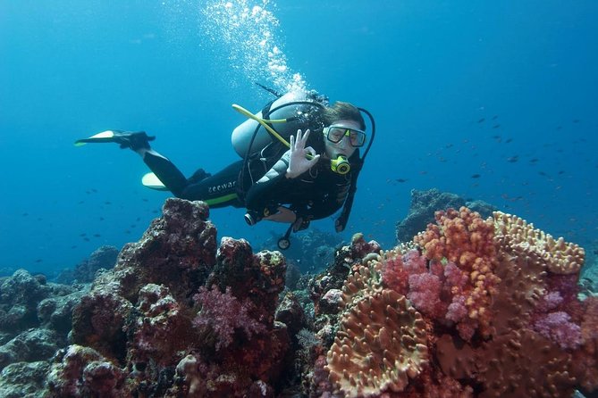 Marmaris Scuba Diving Experience with Lunch & Hotel Transfers - Hotel Pickup, Harbor Timing, and the Shape of Your Day