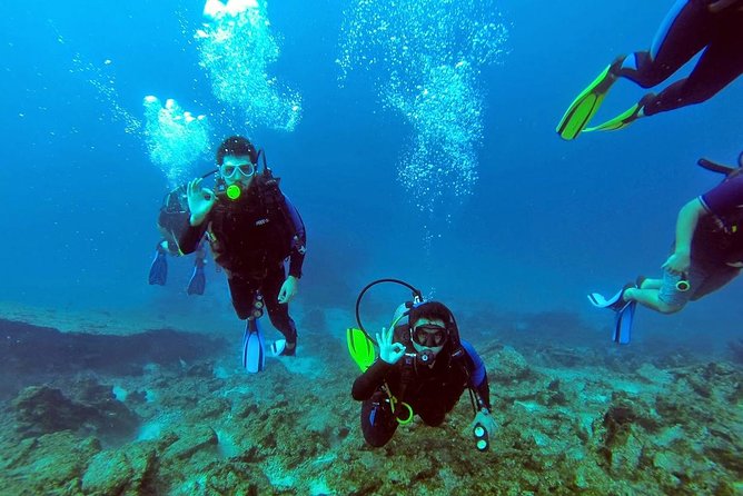 Marmaris Scuba Diving Experience with Lunch & Hotel Transfers - Sea Life Expectations in Marmaris: What to Hope For