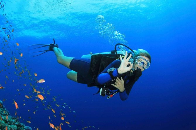 Marmaris Scuba Diving Experience with Lunch & Hotel Transfers - English Support, Group Size, and Who This Tour Fits Best