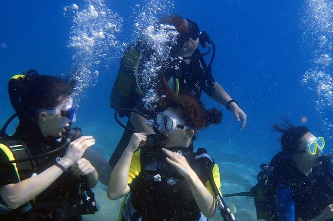 Marmaris Scuba Diving Experience with Lunch & Hotel Transfers - Should You Book This Marmaris Scuba Day?