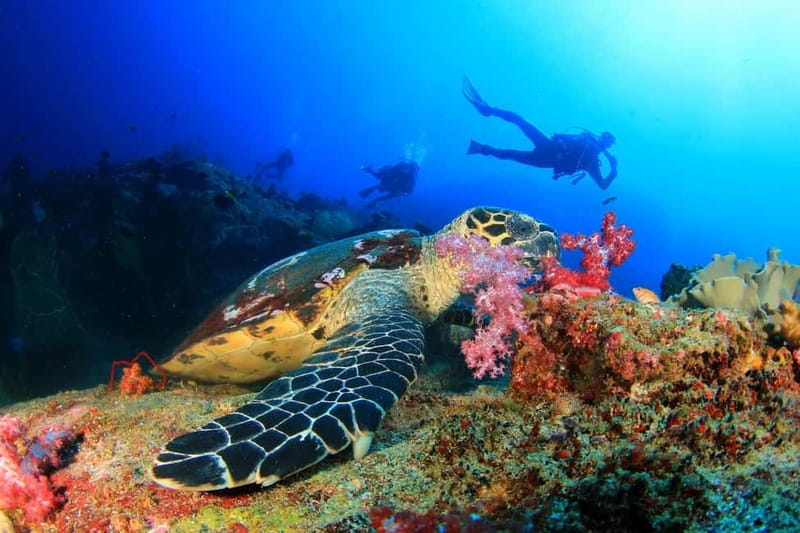 Marmaris: Scuba Diving, Incl. 2 Dive, Lunch w/Hotel Transfer - The warm lunch at sea: why it is more than just food