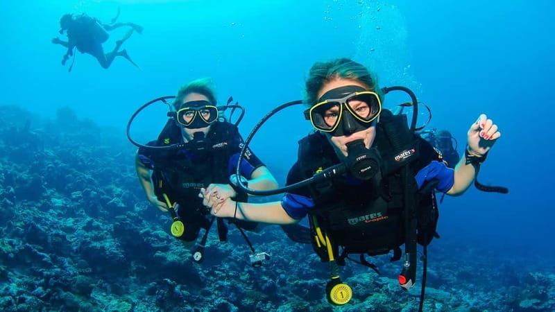 Marmaris: Scuba Diving, Incl. 2 Dive, Lunch w/Hotel Transfer - Price and value check: $41, two sessions, equipment, insurance, and lunch