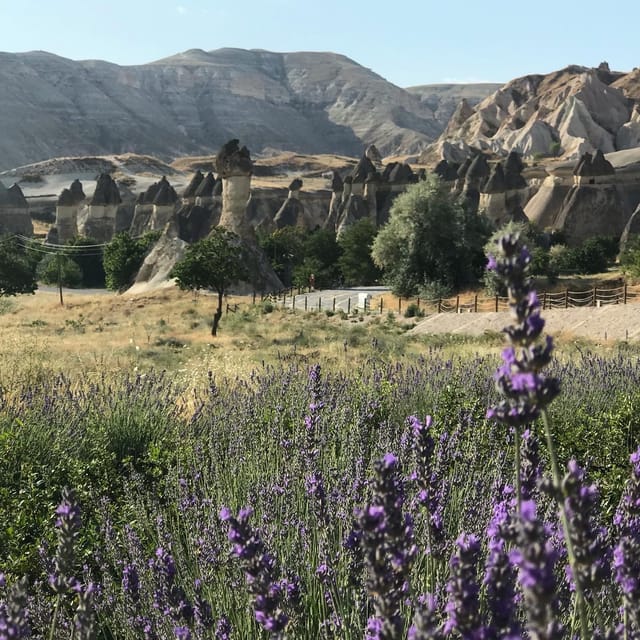 Mochiron Tour Full day Cappadocia With Japanese Guide - Devrent Valley and Pasabagi Fairy Chimneys: Imagination Meets Wind