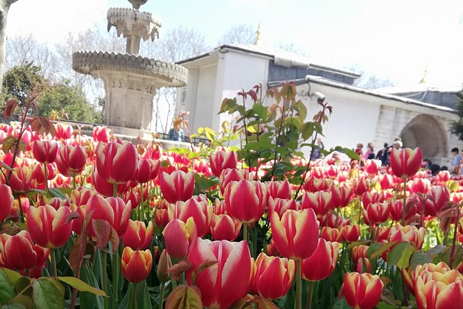 Most famous sites of Istanbul - Price and Value: What $420.49 Per Group Buys You