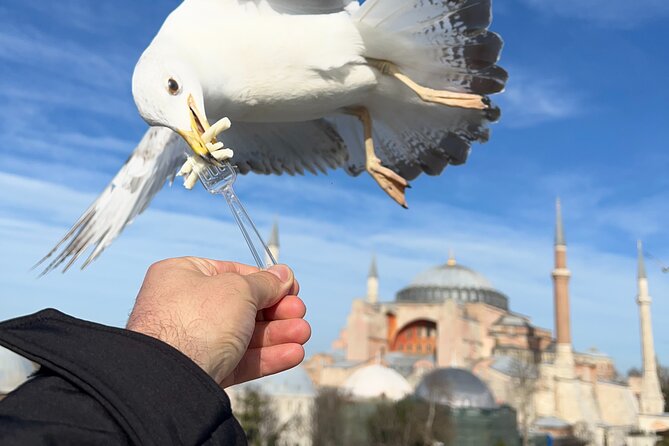 Multi 2 Days Private Guided Istanbul Iconic Landmarks City Tour - Hippodrome and the Grand Bazaar: ruins and a shopping maze you can navigate