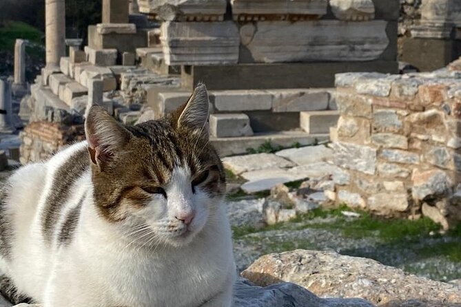 NO HIDDEN FEES : Ephesus, Virgin Mary's House, St. John Basilica - Artemis Temple stop: a short hit of the old world