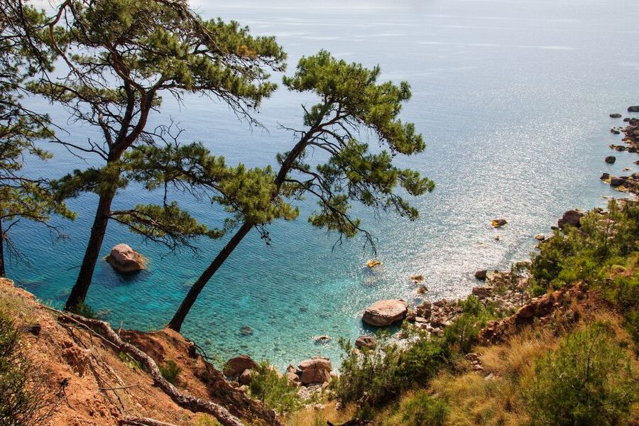 Olympos, Cirali, Chimera Night Tour with Dinner at Ulupinar - Who This Tour Is Best For