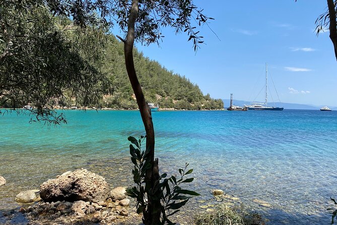 Orak Island, German Bay, Rabbit Bay Boat Tour incl. Lunch - Price and value: is $42.05 worth it?
