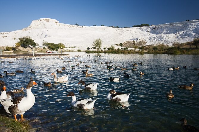 Pamukkale&Hierapolis Tour With Lunch From Antalya - Lunch at the Middle of the Day: Open Buffet, Vegetarian Option Included