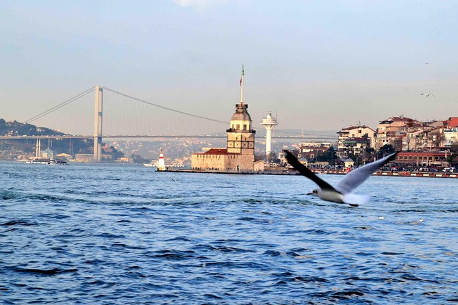 Panoramic City Tour with Bosphorus Strait Sightseeing Cruise - Old City stops on the way: Sultan Ahmet Center and landmarks from street level