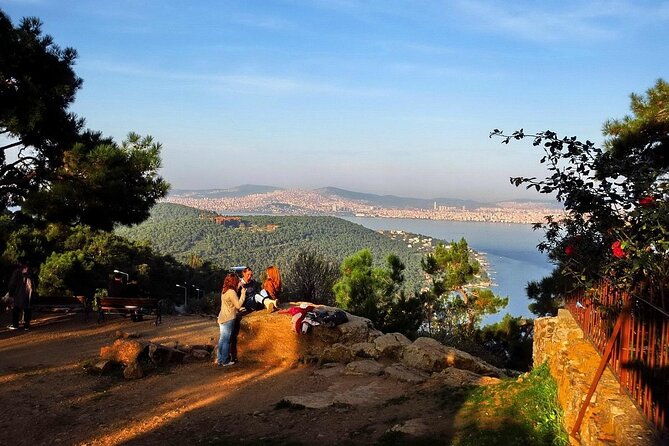 Princes Island Full Day Tour - The Return to Istanbul: Shopping Stop and How to Protect Your Time