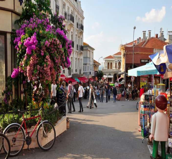 Princes Island Full Day Tour - Heybeli or Kınalı & Büyükada - Key Points That Make This Tour Worth Considering