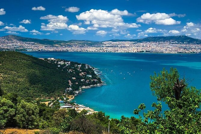 Princes Island Tour From Istanbul - Istanbul Returns, Plus a Shopping Stop You Can Manage