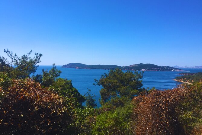 Princes' Islands ( Büyükada ) E-bike Tour - The Greek Orphanage Stop, and Why a Wooden Building Gets Everyone’s Attention