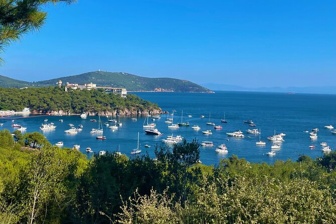 Princes' Islands ( Büyükada ) E-bike Tour - E-bike Details: Choosing Your Bike and Managing the Effort