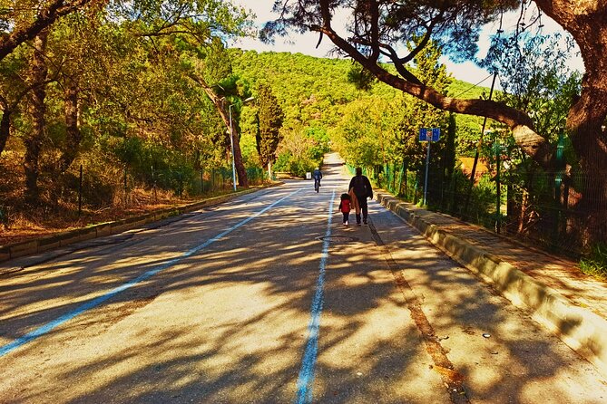 Princes' Islands ( Büyükada ) E-bike Tour - Guides and Group Energy: Ege, Kaan, and Onur Set Different Moods