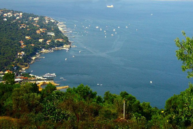 Princes' Islands Tour from Istanbul - Key things that matter on this Princes Islands day trip
