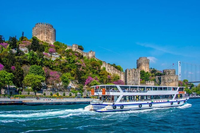 Princes' Islands Tour from Istanbul Lunch Included - Electric car carriage: a potential extra on the island