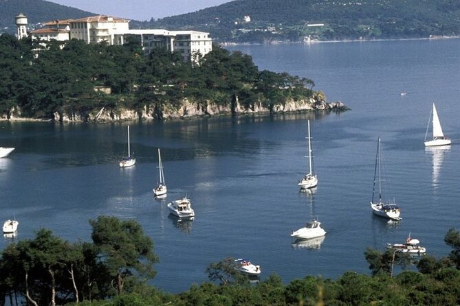 Princes Islands Tour WITH Private Boat, optional Pickup & Lunch - Price and value: is $26.43 a smart buy?