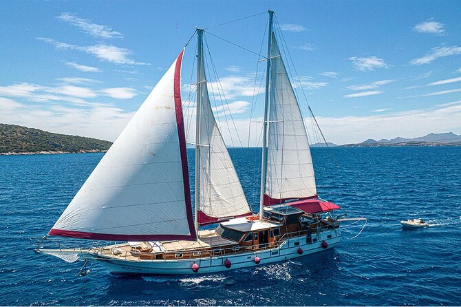 Private Boat Experience in Bodrum Coast with Snorkeling and Coves - Why a private boat day in Bodrum beats a crowded tour