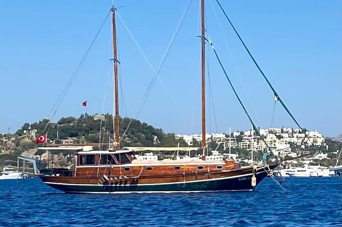 Private Boat Experience in Bodrum Coast with Snorkeling and Coves - Comfort details, BYO strategy, and seasickness reality