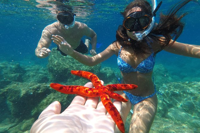 Private Boat Trip to Kas Islands including BBQ Lunch - Price and value for a group private sail in Kas