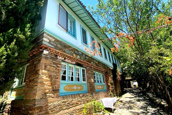 Private Ephesus Tour & Cooking Class in Village - Çamlık cooking class: make lunch under pine trees