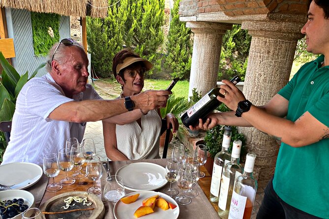 Private Ephesus Tour & Wine Tasting & Mediterrranean Lunch - Yedi Bilgeler winery: Roman daily life, then dry wines