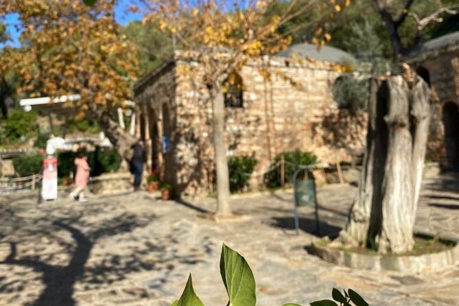 Private Izmir to Ephesus Full-Day Customizable Tour - Getting Around, Dress Code, and the Walking Reality